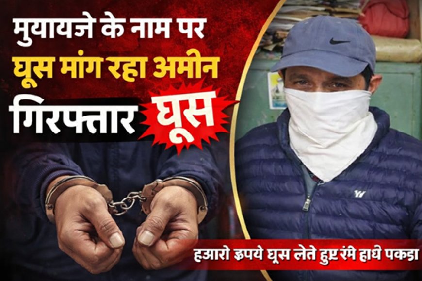 विजिलेंस का बड़ा एक्शन: मुआवजे के नाम पर घूस मांग रहा अमीन गिरफ्तार