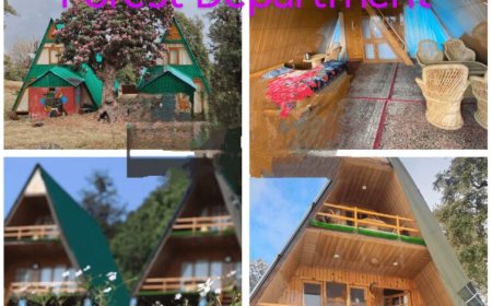 ईको टूरिज्म में 1.63 करोड़ की गड़बड़ी, सूचना आयोग ने मांगी पूरी जानकारी