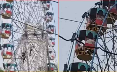 झूले पर बैठे लोगों पर मधुमक्खियों का हमला: मुक्तेश्वर महादेव मंदिर मेले में हड़कंप, तीन बच्चे गंभीर, ICU में भर्ती