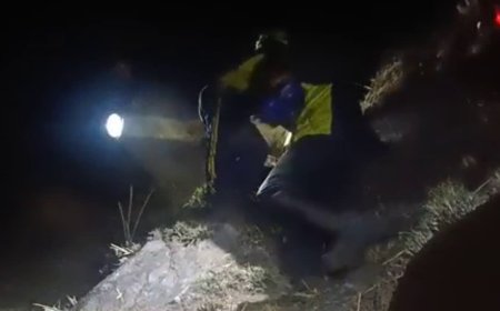 घने जंगल में रास्ता भटकने के बाद मची अफरा-तफरी, एसडीआरएफ ने चलाया सर्च ऑपरेशन