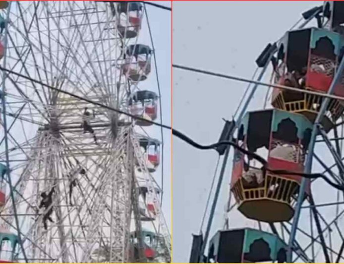 मुक्तेश्वर महादेव मंदिर मेले में मधुमक्खियों का हमला: तीन बच्चे आईसीयू में भर्ती