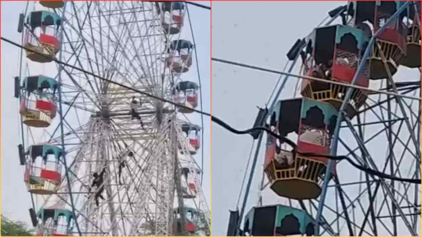 झूले पर बैठे लोगों पर मधुमक्खियों का हमला: मुक्तेश्वर महादेव मंदिर मेले में हड़कंप, तीन बच्चे गंभीर, ICU में भर्ती