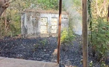 कलेक्ट्रेट के पास जंगल में लगी भीषण आग, बाल-बाल बचा सालों पुराना सरकारी रिकॉर्ड