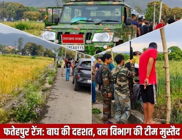 फतेहपुर रेंज में पुनः बाघ का आतंक, शावकों के साथ दिखाई देने का दावा!