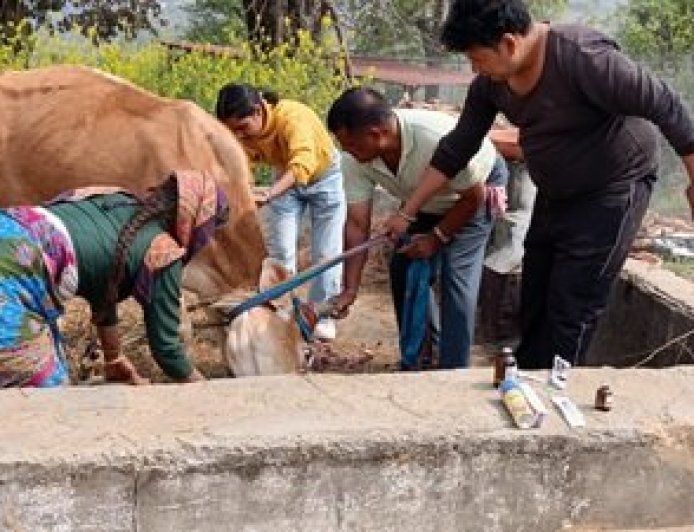बागेश्वर में दुग्ध उत्पादन में 34% की वृद्धि: महिलाओं ने लिया डेयरी क्षेत्र की कमान