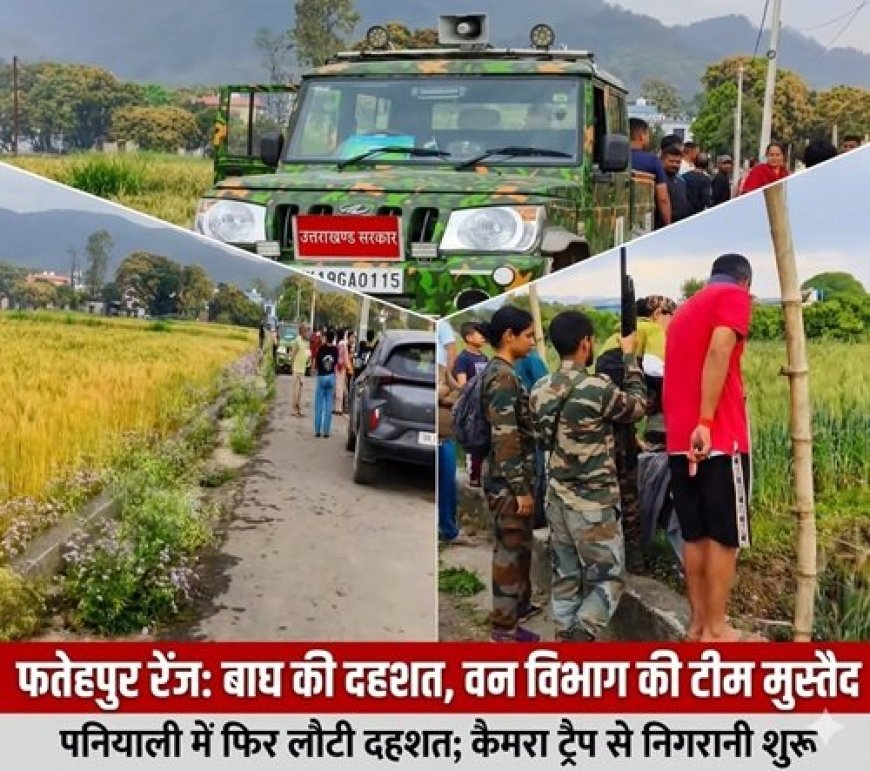 फतेहपुर रेंज में फिर लौटी बाघ की दहशत, शावकों संग देखे जाने का दावा !