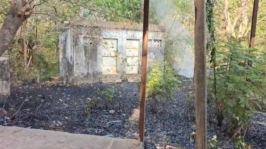 कलेक्ट्रेट के पास जंगल में लगी भीषण आग, बाल-बाल बचा सालों पुराना सरकारी रिकॉर्ड
