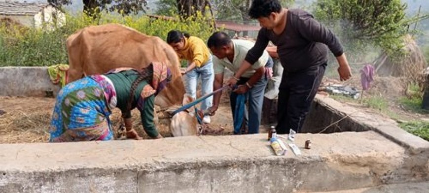 बागेश्वर में श्वेत क्रांति की दस्तक: दुग्ध उत्पादन में 34% का उछाल