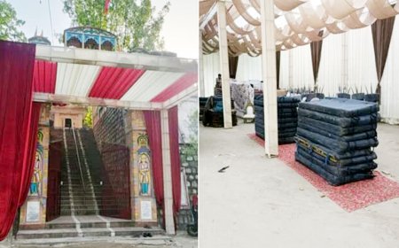 राजाजी टाइगर रिजर्व में शादी का विवाद: मंत्री के बेटे की तैयारियों पर हुई कार्रवाई