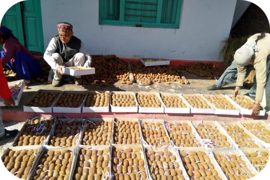 रिवर्स माइग्रेशन और नवाचारी कृषि ने बदल दी उत्तराखंड के बागेश्वर की तस्वीर