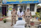 उधमसिंहनगर: 16.560 किग्रा डोडा, देशी तमंचा और 10 जिंदा कारतूस के साथ आरोपी गिरफ्तार