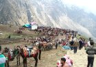 चारधाम यात्रा में अश्ववंशीय पशुओं की सुरक्षा हेतु नई गाइडलाइन जारी