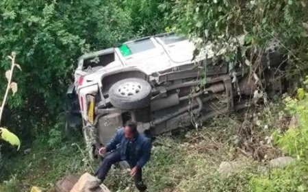 बागेश्वर में बोलेरो हादसा: जंगली सुअरों को बचाने के प्रयास में खाई में गिरी वाहन