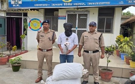 उधमसिंहनगर: 16.560 किग्रा डोडा, देशी तमंचा और 10 जिंदा कारतूस के साथ आरोपी गिरफ्तार