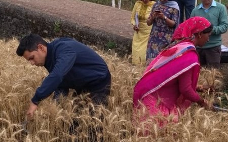डीएम अंशुल सिंह ने खेत में गेहूं की कटाई करके दिखाई मिसाल
