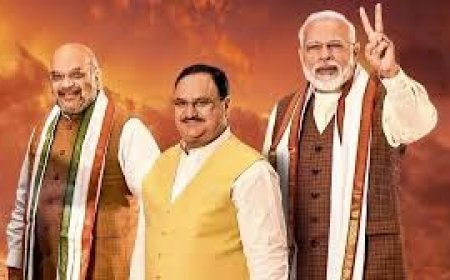 मोदी सरकार के शानदार 12 वर्षों पर राष्ट्रव्यापी जनसंपर्क अभियान चलाएगी भाजपा