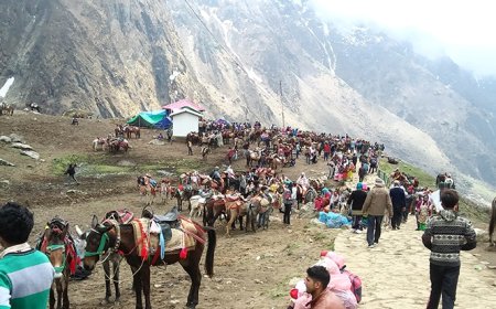 चारधाम यात्रा में अश्ववंशीय पशुओं की सुरक्षा हेतु नई गाइडलाइन जारी