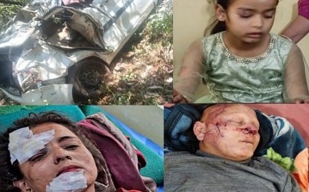 बागेश्वर में कार खाई में गिरी, चालक समेत तीन लोग हुए घायल