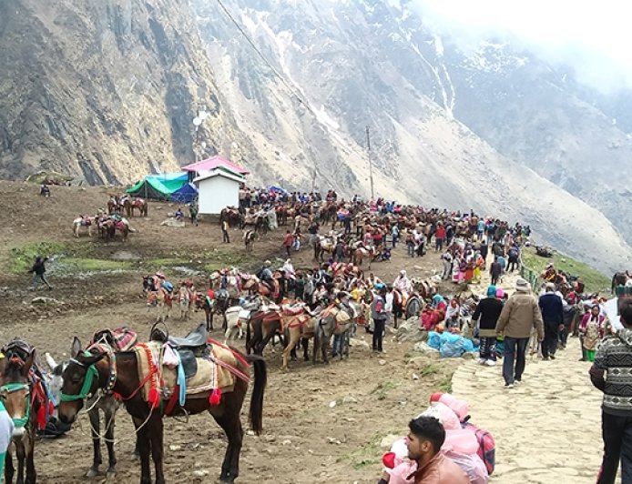 चारधाम यात्रा में अश्ववंशीय पशुओं की सुरक्षा हेतु नई गाइडलाइन जारी