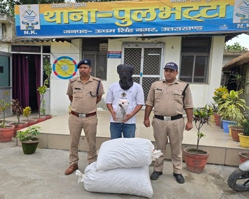 उधमसिंहनगर: 16.560 किग्रा डोडा, देशी तमंचा और 10 जिंदा कारतूस के साथ आरोपी गिरफ्तार