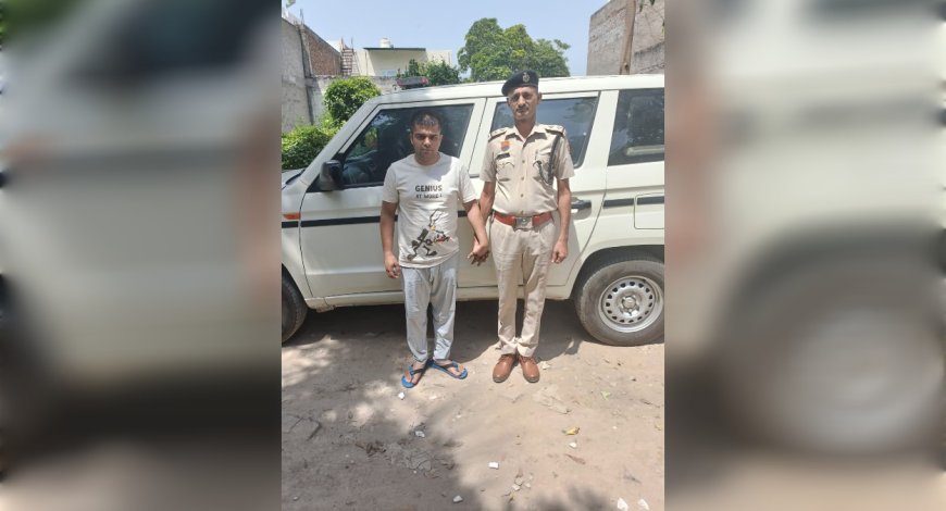 गुरुग्राम में मसालों के नाम पर 3.5 करोड़ रुपये का घोटाला: चपेट में आईं बड़ी कंपनियां