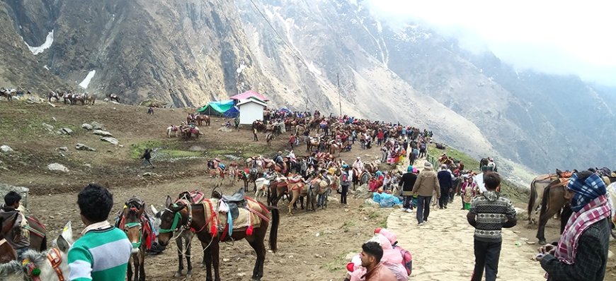 चारधाम यात्रा में अश्ववंशीय पशुओं की सुरक्षा हेतु नई गाइडलाइन जारी
