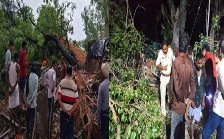 बिहार के रीगा में पीपल का पेड़ गिरने से एक ही परिवार के 5 सदस्यों की जान गई, गांव में छाया शोक