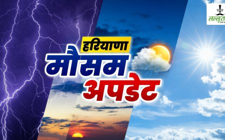 हरियाणा में गर्मी से बेहाल: रोहतक ने रिकॉर्ड तोड़ा, केवल दो जिलों में बारिश का है अलर्ट