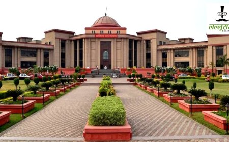 हाथी प्रभावित क्षेत्र में 33 केवी लाइन विस्तार पर हाईकोर्ट की सख्ती, केंद्र, राज्य सरकार और पावर कंपनी को भेजा नोटिस