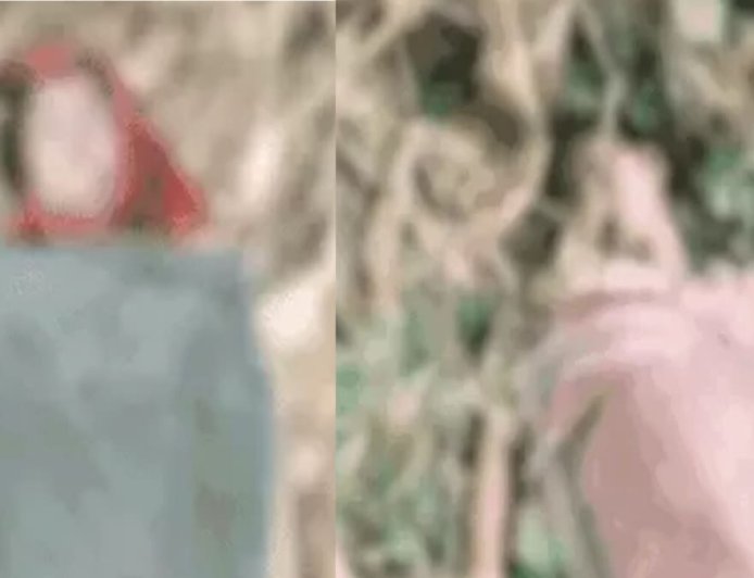 भागलपुर में खेत में काम करते समय ठनका की चपेट में आईं मां-बेटी, दो जिंदगियाँ गईं