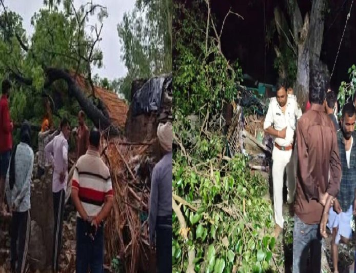 बिहार के रीगा में पीपल का पेड़ गिरने से एक ही परिवार के 5 सदस्यों की जान गई, गांव में छाया शोक
