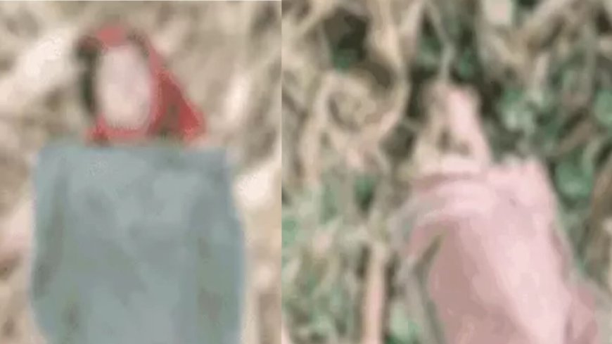 भागलपुर में खेत में काम करते समय ठनका की चपेट में आईं मां-बेटी, दो जिंदगियाँ गईं