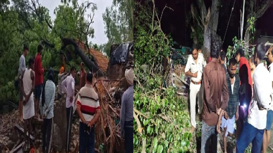 बिहार के रीगा में पीपल का पेड़ गिरने से एक ही परिवार के 5 सदस्यों की जान गई, गांव में छाया शोक