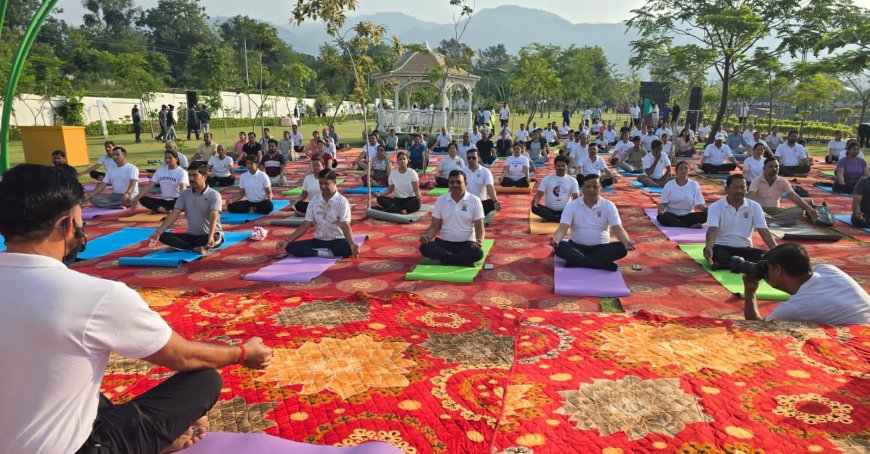 देहरादून न्यूज: योग दिवस पर सिटी फॉरेस्ट पार्क में उमड़ने वाला जनसैलाब