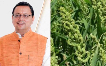 Uttarakhand में लागू हुई स्टेट मिलेट पॉलिसी, किसानों की आय बढ़ाने पर धामी सरकार का जोर