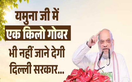 अमित शाह का केजरीवाल सरकार पर कड़ा प्रहार, बोले- 'हर दिन 1500 मीट्रिक टन गोबर यमुना में डालना एक गंभीर अपराध'