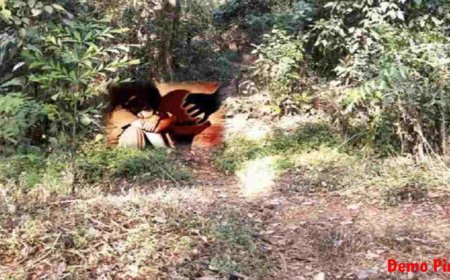 सिंगरौली में युवती के साथ एक और गैंगरेप की घटना: तीन आरोपी गिरफ्तार