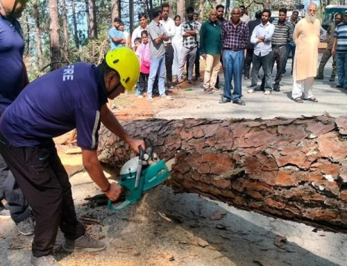 अल्मोड़ा में दर्ज की गई घटना: विशाल पेड़ गिरने से मार्ग बाधित, अग्निशमन टीम ने किया राहत कार्य