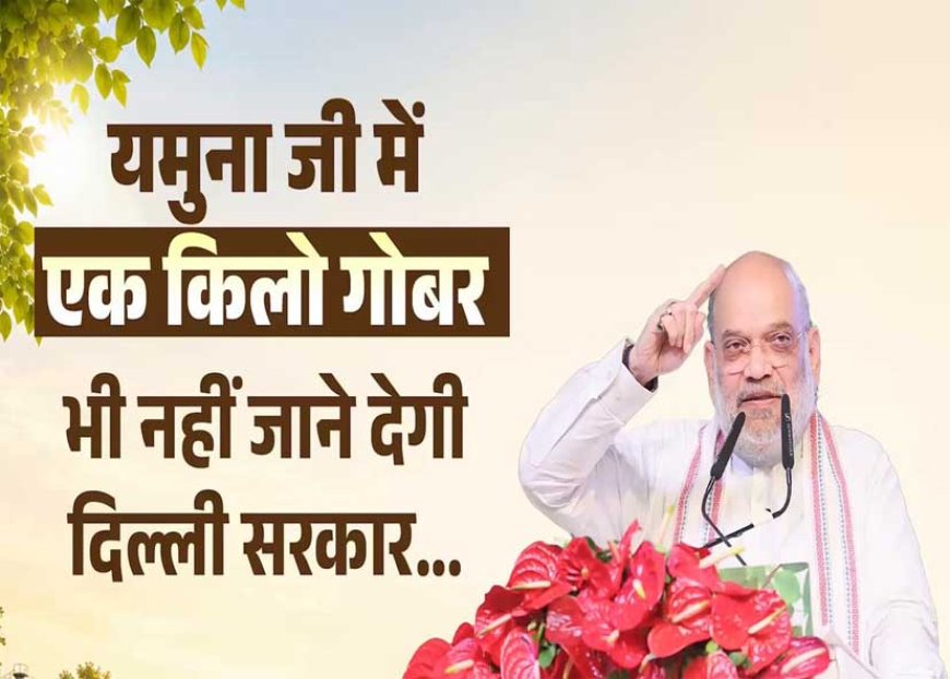 अमित शाह का केजरीवाल सरकार पर कड़ा प्रहार, बोले- 'हर दिन 1500 मीट्रिक टन गोबर यमुना में डालना एक गंभीर अपराध'