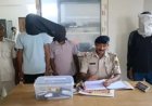 पंचानपुर: अवैध हथियारों की गुप्त रिहायश, छापेमारी में मिले कट्टा, सिक्सर और कारतूस