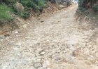ग्रामीणों ने दो दशकों से बदहाल सड़क के खिलाफ मानव श्रृंखला बनाई, डामरीकरण की मांग तेजी से बढ़ी