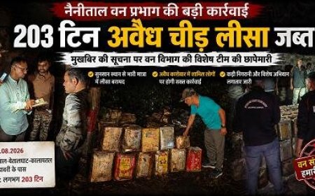 नैनीताल: अवैध चीड़ लीसा कारोबार का बड़ा खुलासा, 203 टिन लकड़ी बरामद