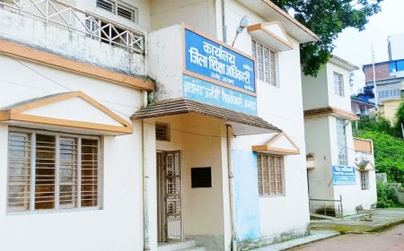 अल्मोड़ा में शिक्षकों के फर्जी TET प्रमाणपत्र का मामला, तीन सहायक शिक्षक निलंबित
