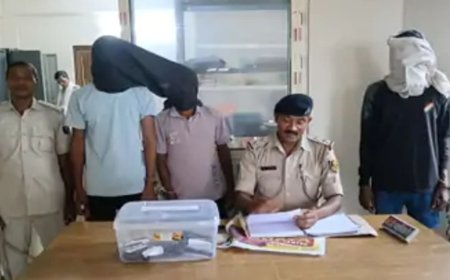 पंचानपुर: अवैध हथियारों की गुप्त रिहायश, छापेमारी में मिले कट्टा, सिक्सर और कारतूस