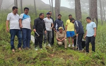 रेडक्रॉस ने दिया हरियाली का संदेश, वृहद वृक्षारोपण
