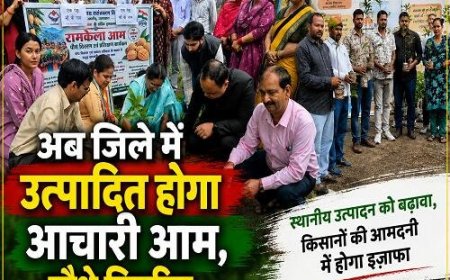 अल्मोड़ा: 25 हेक्टेयर क्षेत्र में रामकेला आम का होगा विस्तार