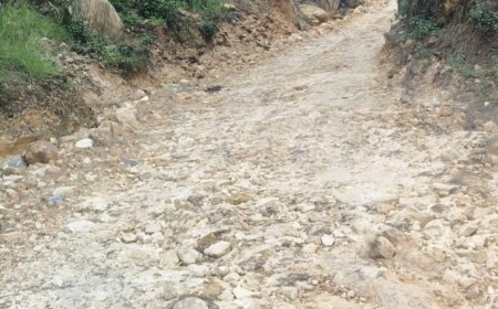 ग्रामीणों ने दो दशकों से बदहाल सड़क के खिलाफ मानव श्रृंखला बनाई, डामरीकरण की मांग तेजी से बढ़ी
