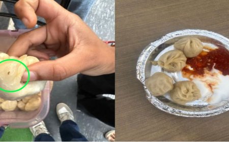 मोमोज में स्वाद या ‘इल्लियों’ का तड़का ? C-21 के पीछे रेस्टोरेंट पर गंभीर सवाल ! फ्रोजन बास्केट में भी कीड़े दिखने का आरोप, शिकायत पर बदतमीजी का भी आरोप