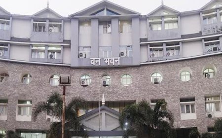Uttarakhand वन विभाग में तबादलों का अजब हाल, आदेश जारी होने के बाद भी नई तैनाती नहीं ले रहे कर्मचारी