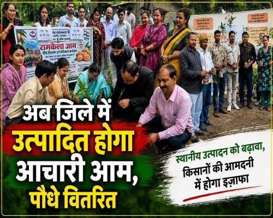 अल्मोड़ा: 25 हेक्टेयर क्षेत्र में रामकेला आम का होगा विस्तार